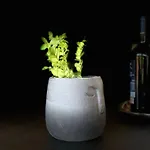 Slow Life Pod Babia Gora ヴィラ ザボヤ