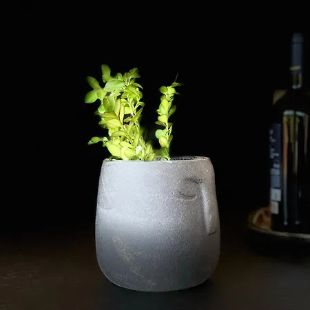 Slow Life Pod Babia Gora Vila Zawoja