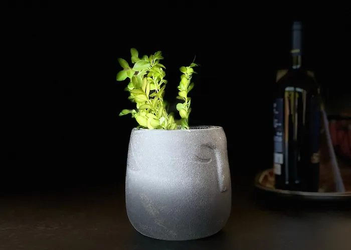 Slow Life Pod Babia Gora וילה זאבוייה